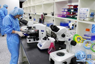 探訪韓國克隆工廠 走進秀巖生命工學(xué)研究所的科技與倫理邊界